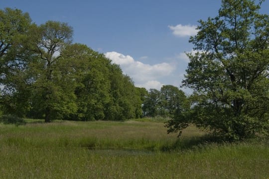 Steunbetuiging aan Natuurvereniging Mark en Leij