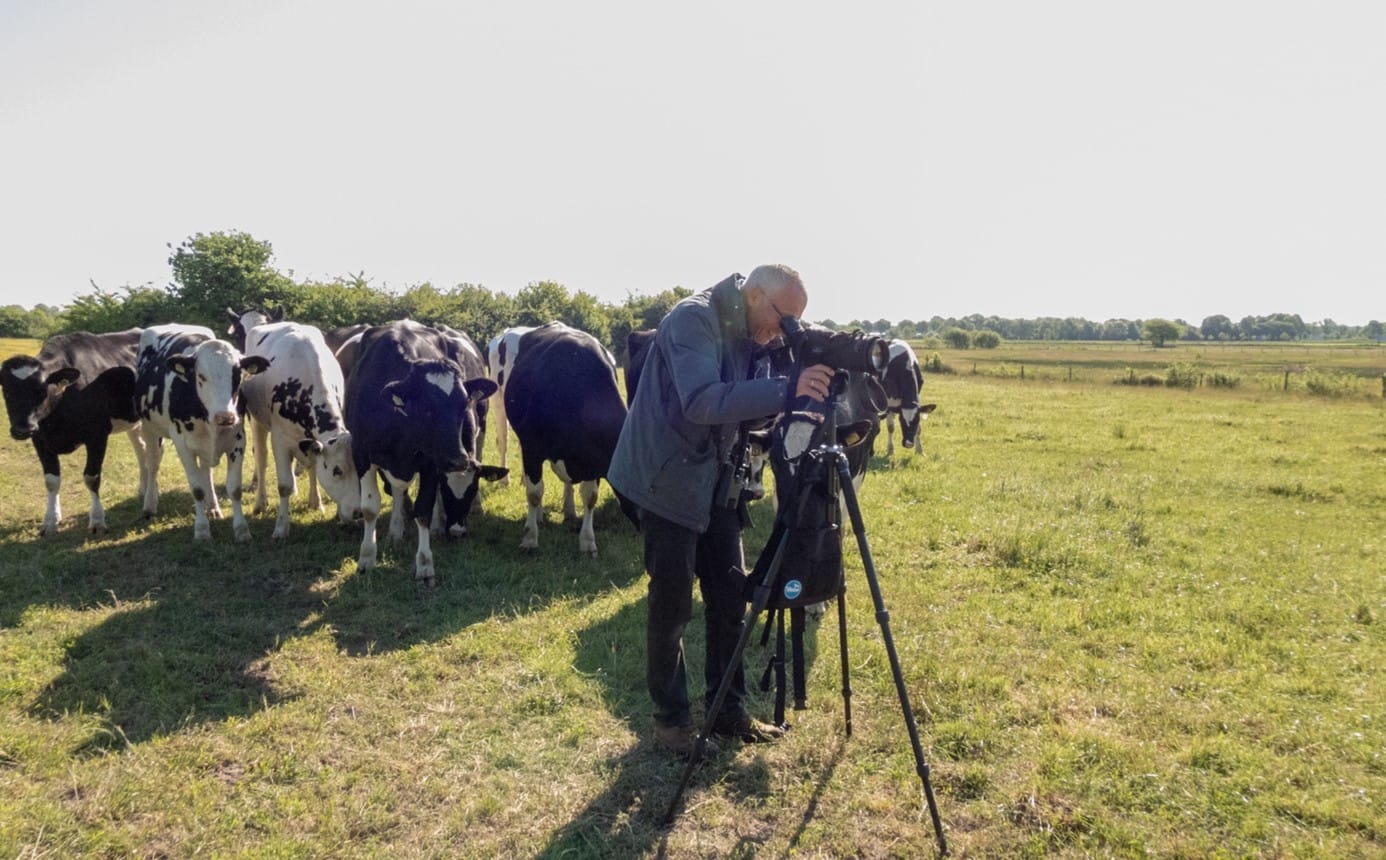Terugblik weidevogelseizoen Goirle/Riel 2025