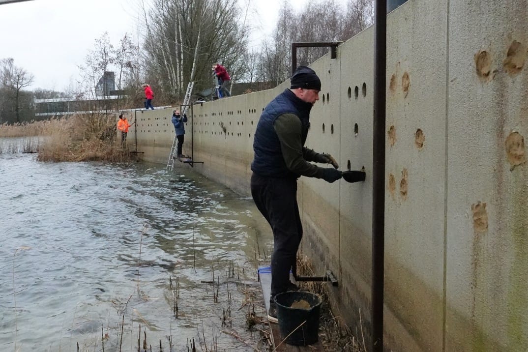 Oeverzwaluwenwand klaar voor het broedseizoen!