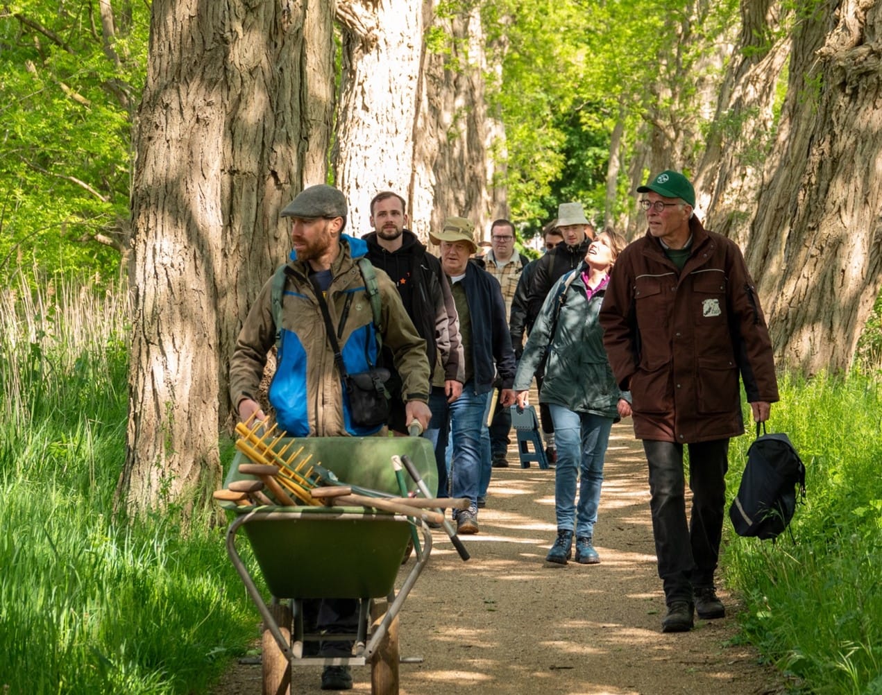 Kom uit je (bureau)stoel, het Biodiversiteitteam Goirle-Riel helpt je daarbij