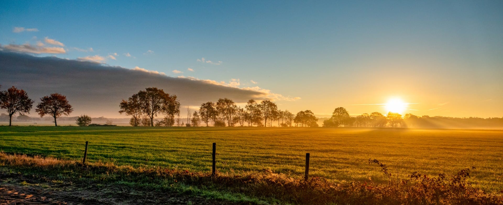 Oproep van de werkgroep Weidevogels