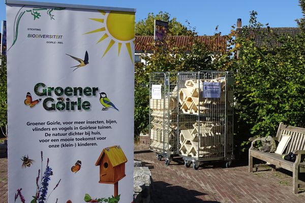 Biodiversiteit in zomerse Najaarsactie in de De Tuin