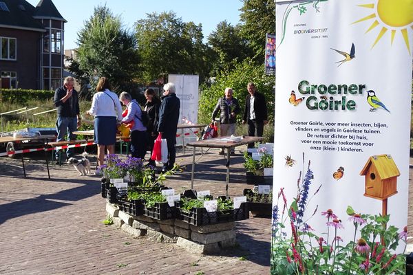 Activiteiten in de zomermaanden