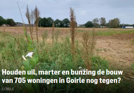 Artikel BD: 'Houden uil, marter en bunzing de bouw van 705 woningen in Goirle nog tegen?'