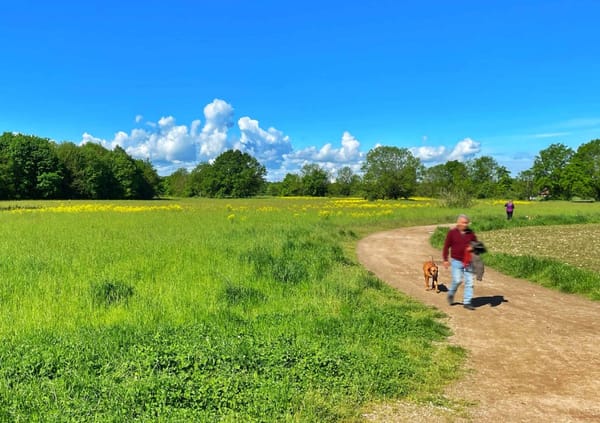 "Für ein rücksichtsvolles Miteinander von Tieren und Menschen" - Landschaftspark Wiese