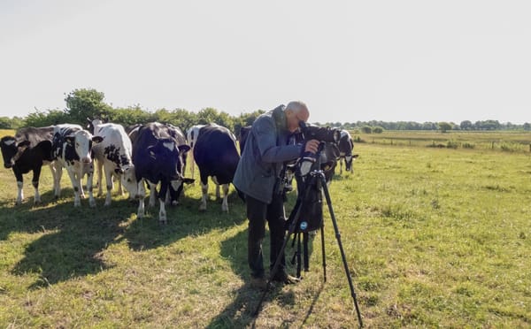 Terugblik weidevogelseizoen Goirle/Riel 2025