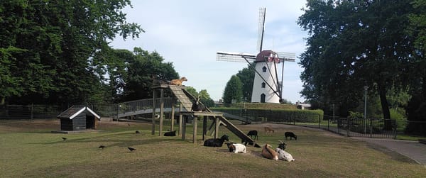 Algemene bijeenkomst, met lezing over permacultuur