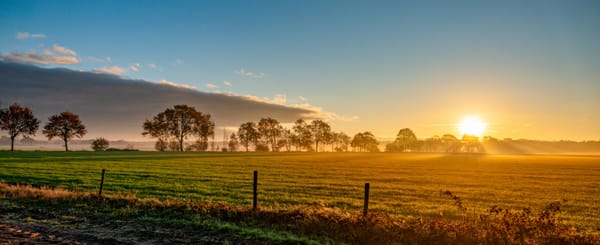 Oproep van de werkgroep Weidevogels