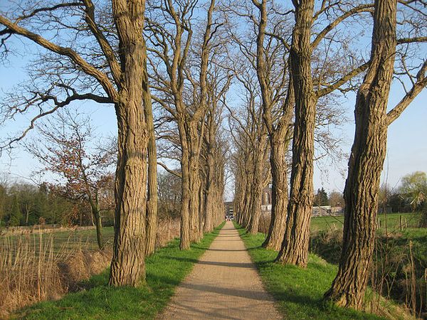 Stemwijzer Groen